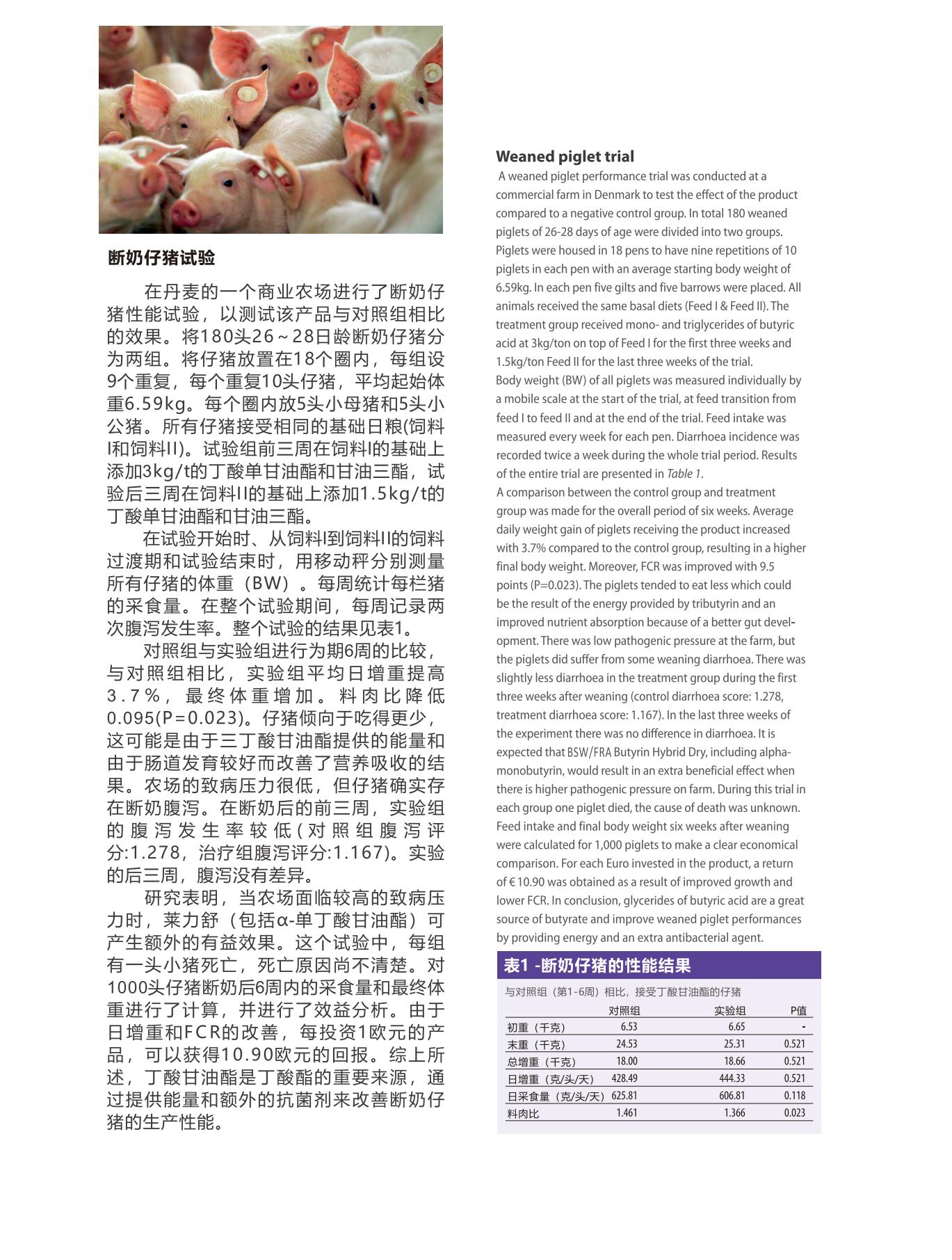 網(wǎng)站文章11.14_08
