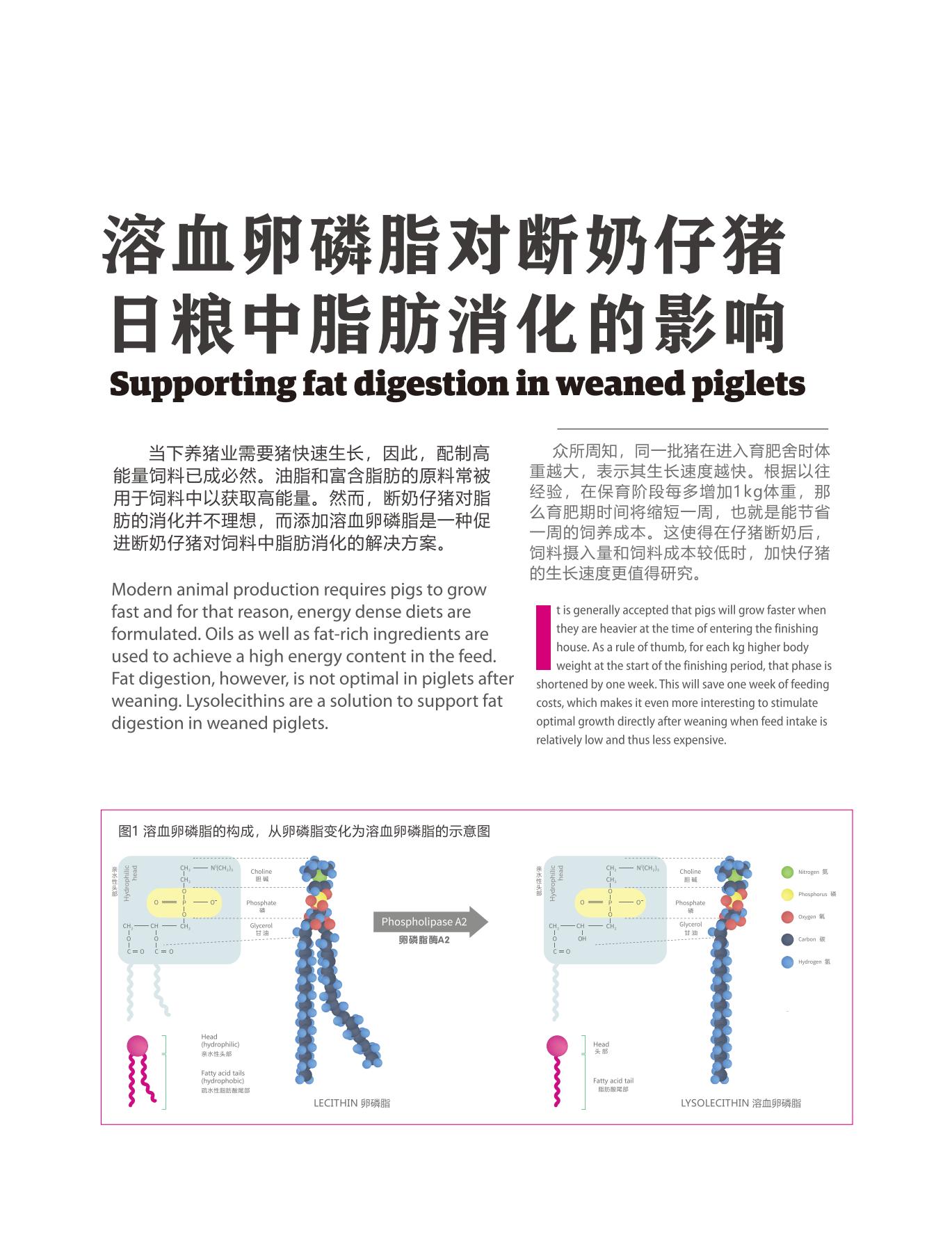 網(wǎng)站文章11.14_09