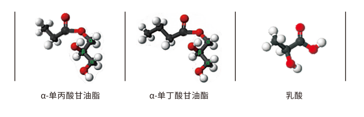 圖片 9