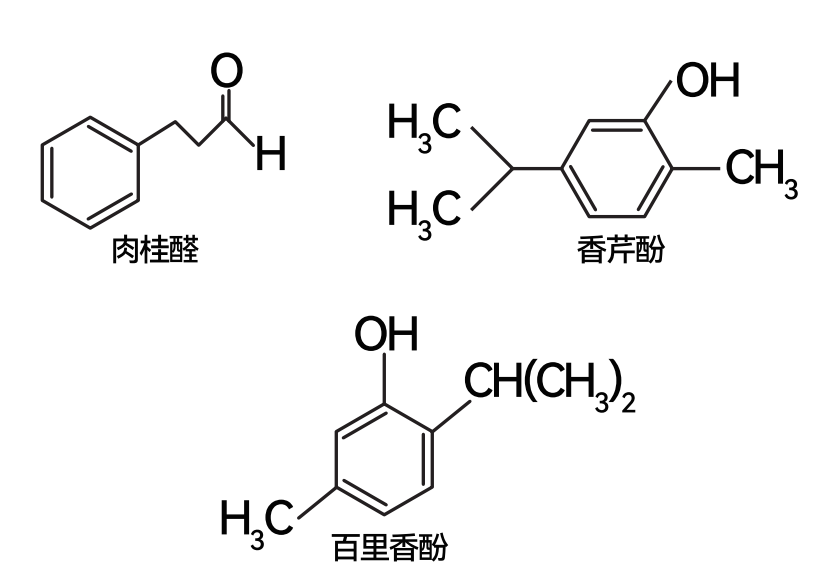 圖片 10